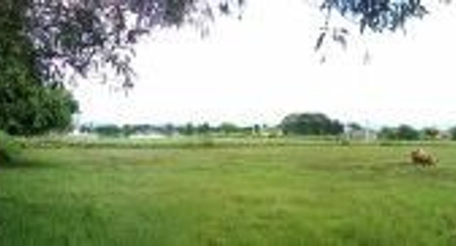 For sale land in Doi Saket, Chiang Mai