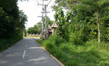 For sale land in Sattahip, Chonburi