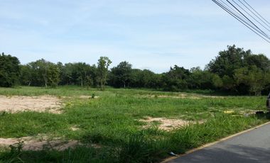 For sale land in Sattahip, Chonburi