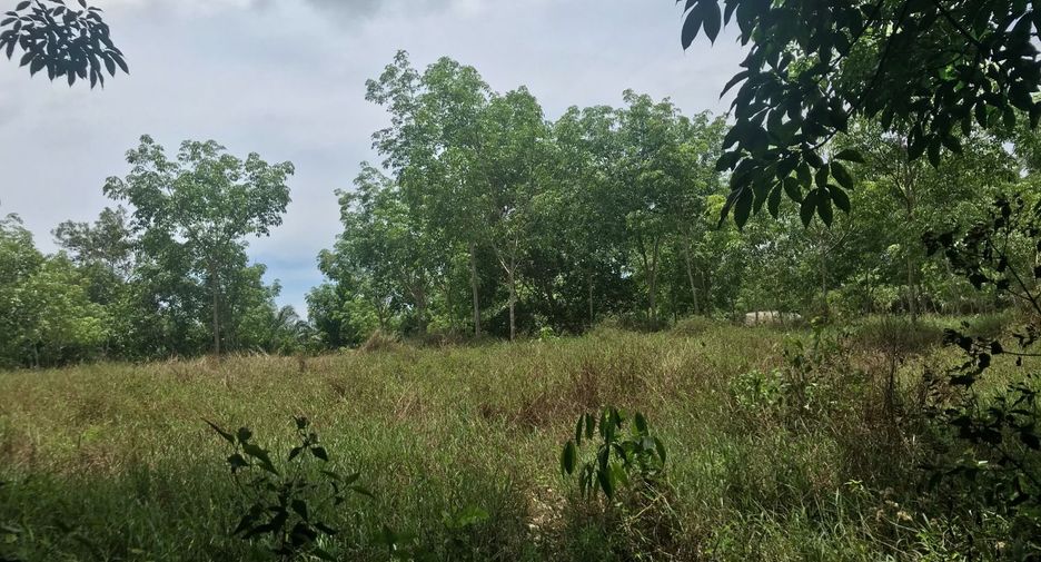For rent and for sale land in Thai Mueang, Phang Nga