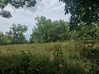 For rent そして for sale land in Thai Mueang, Phang Nga