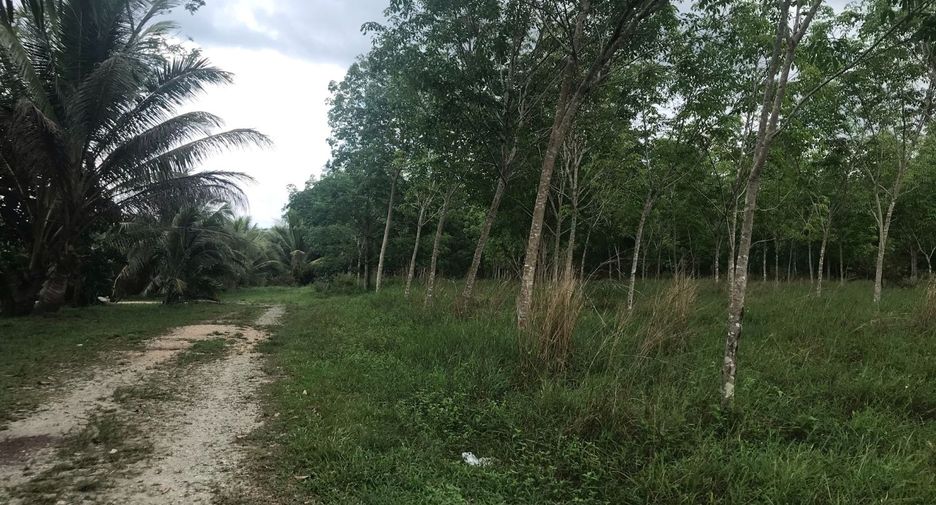 For rent そして for sale land in Thai Mueang, Phang Nga