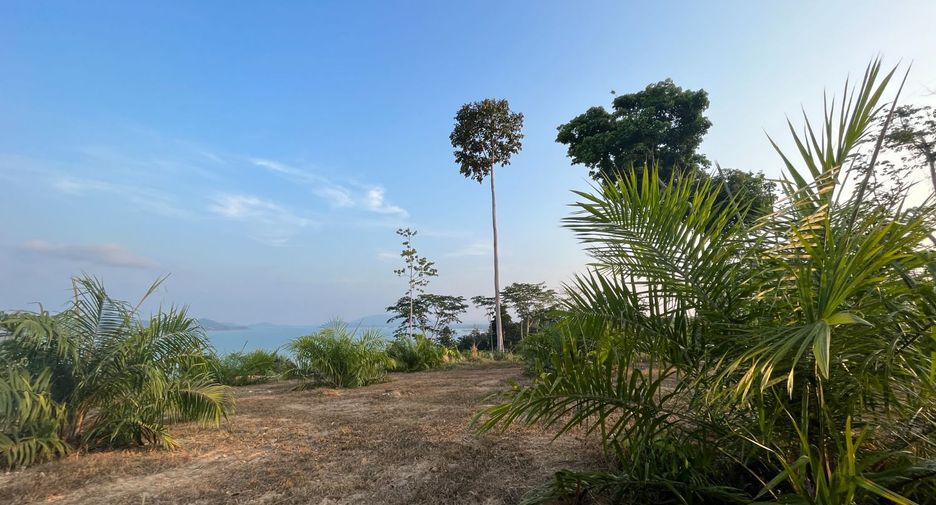 Terreno en venta en Takua Thung, Phang Nga