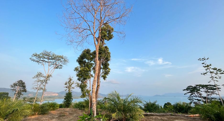 Terreno en venta en Takua Thung, Phang Nga