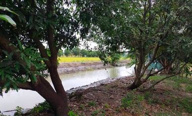 ขาย ที่ดิน ใน ไทรน้อย, นนทบุรี