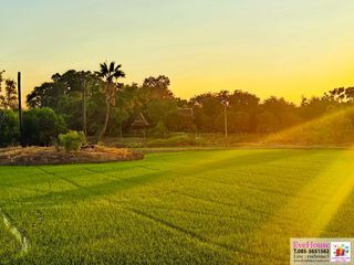 For sale land in Bang Sai, Phra Nakhon Si Ayutthaya