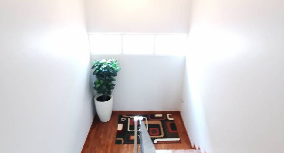 出租 和 出售 4 卧室 独立屋 在 Suan Luang, 曼谷