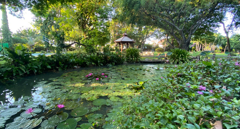 出租 和 出售 4 卧室 独立屋 在 Suan Luang, 曼谷