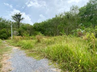 For sale land in Thalang, Phuket