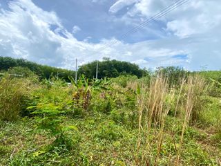 For sale land in Thalang, Phuket