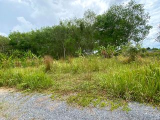 For sale land in Thalang, Phuket