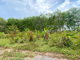 For sale land in Thalang, Phuket