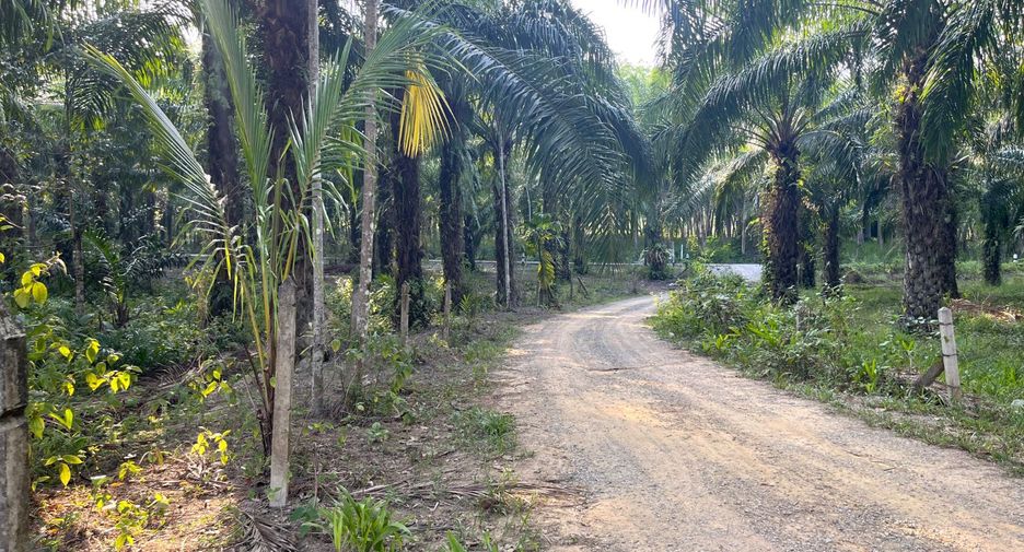 À vendre terrain à Takua Thung, Phang Nga