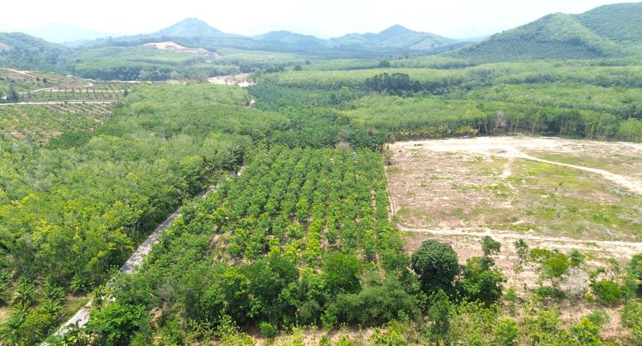 À vendre terrain à Takua Thung, Phang Nga