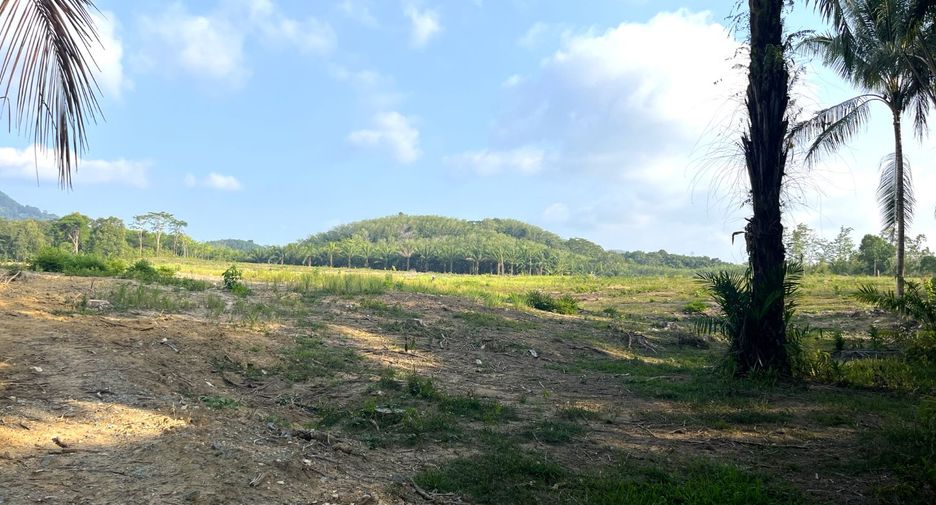 À vendre terrain à Takua Thung, Phang Nga