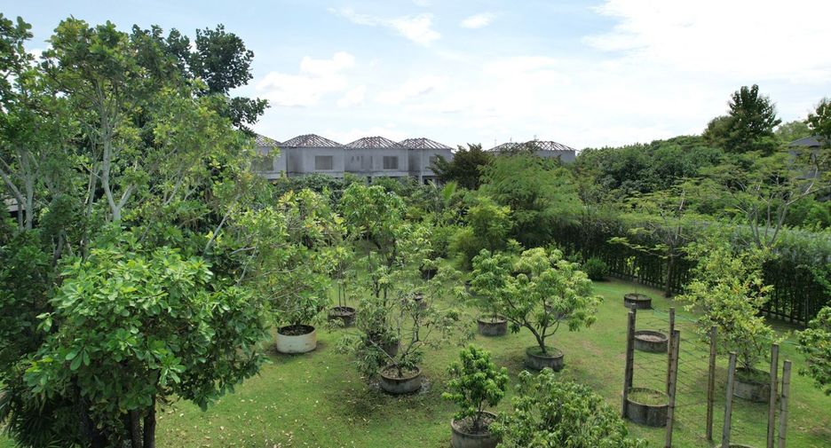 Haus zur Miete und zum Kauf mit 3 Zimmer in Saraphi, Chiang Mai