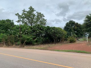 For sale land in Wat Bot, Phitsanulok