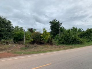 For sale land in Wat Bot, Phitsanulok