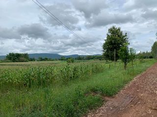 For sale land in Wat Bot, Phitsanulok