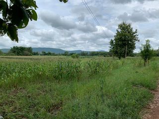For sale land in Wat Bot, Phitsanulok