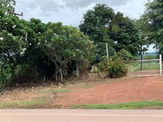 For sale land in Wat Bot, Phitsanulok
