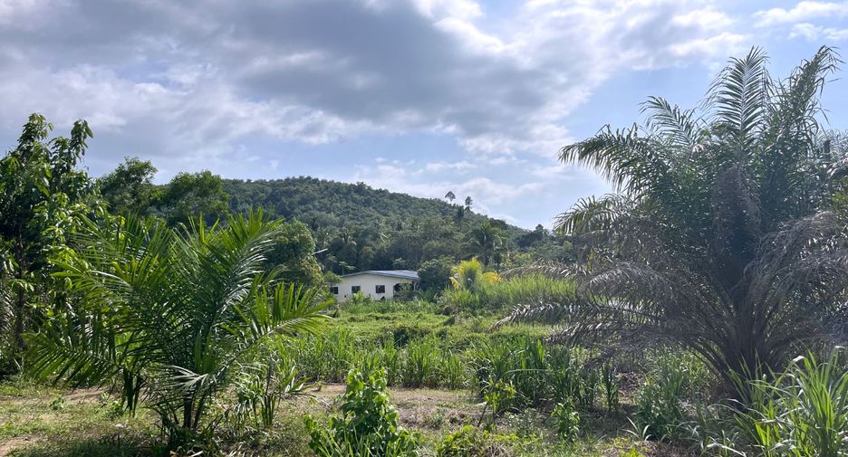 For sale land in Takua Pa, Phang Nga