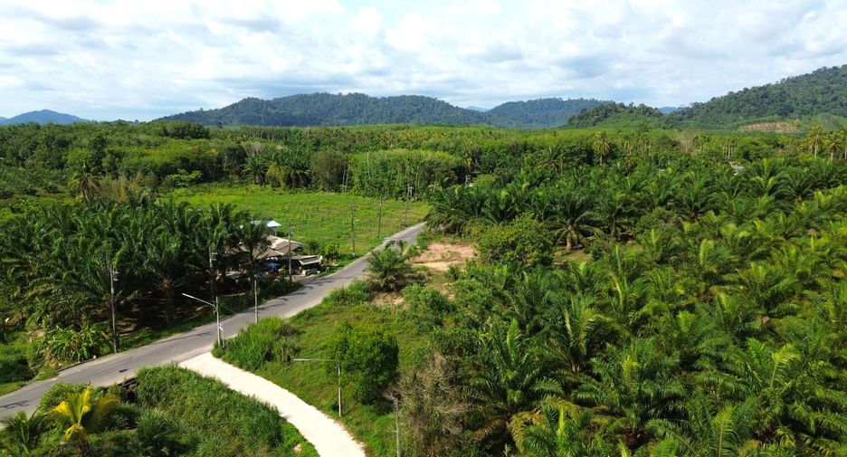 For sale land in Takua Pa, Phang Nga