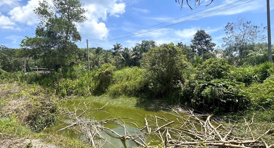 For sale land in Takua Pa, Phang Nga