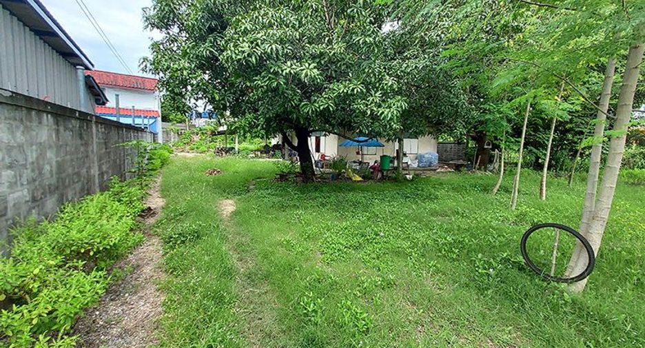 ขาย ที่ดิน ใน เมืองชลบุรี, ชลบุรี
