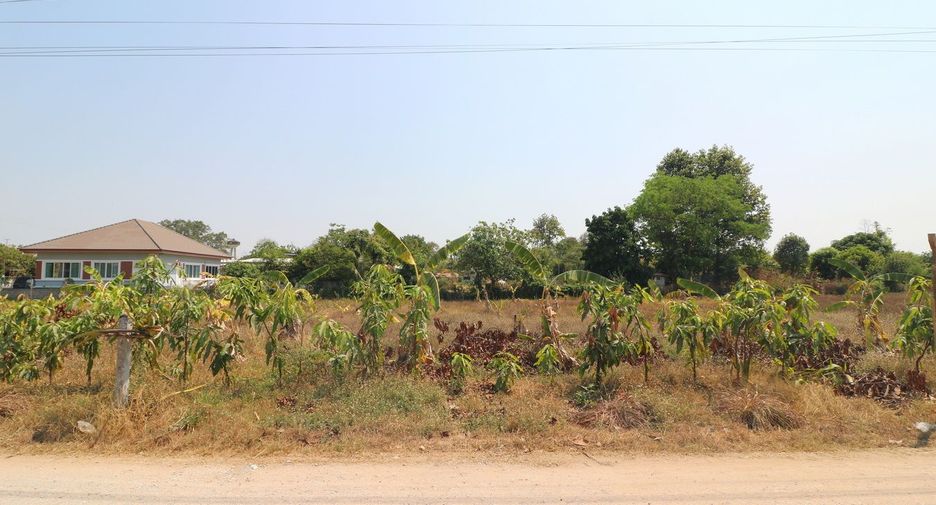 ขาย ที่ดิน ใน เมืองขอนแก่น, ขอนแก่น