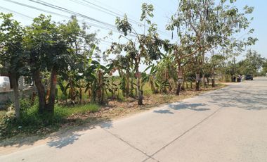 出售 土地 在 Mueang Khon Kaen, Khon Kaen