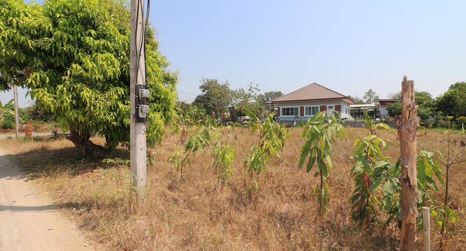ขาย ที่ดิน ใน เมืองขอนแก่น, ขอนแก่น