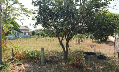 出售 土地 在 Mueang Khon Kaen, Khon Kaen