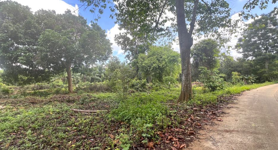 Grundstück zum Kauf in Mueang Krabi, Krabi