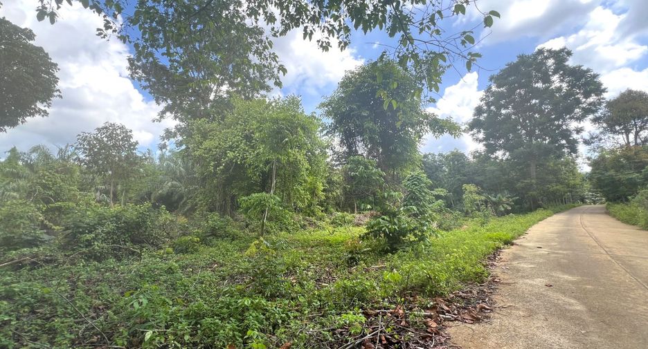 Grundstück zum Kauf in Mueang Krabi, Krabi
