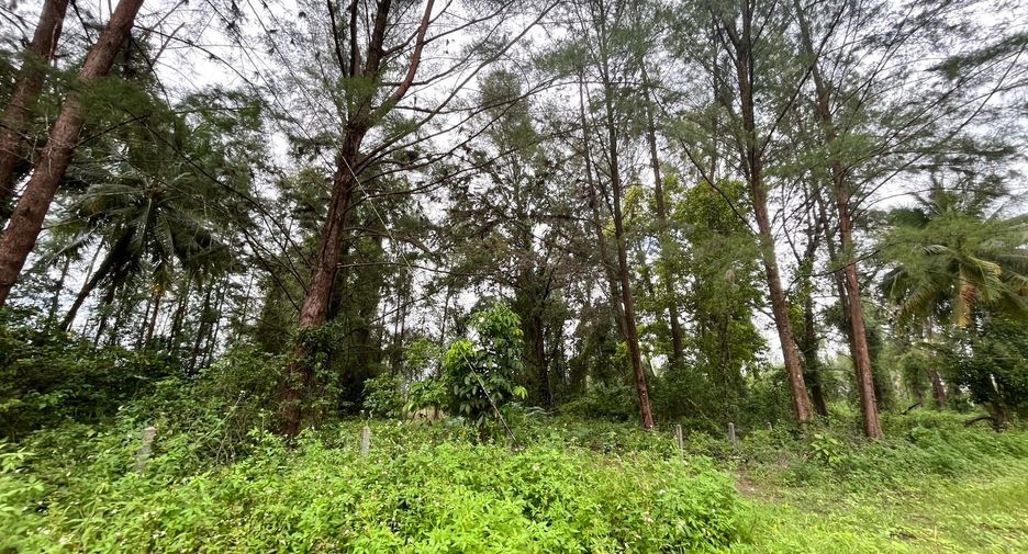 出售 土地 在 Takua Pa, Phangnga