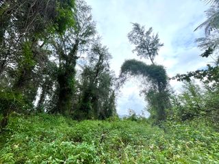 出售 土地 在 Takua Pa, Phangnga