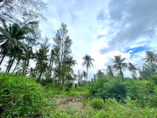 出售 土地 在 Takua Pa, Phangnga