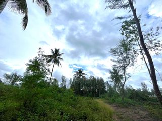 出售 土地 在 Takua Pa, Phangnga