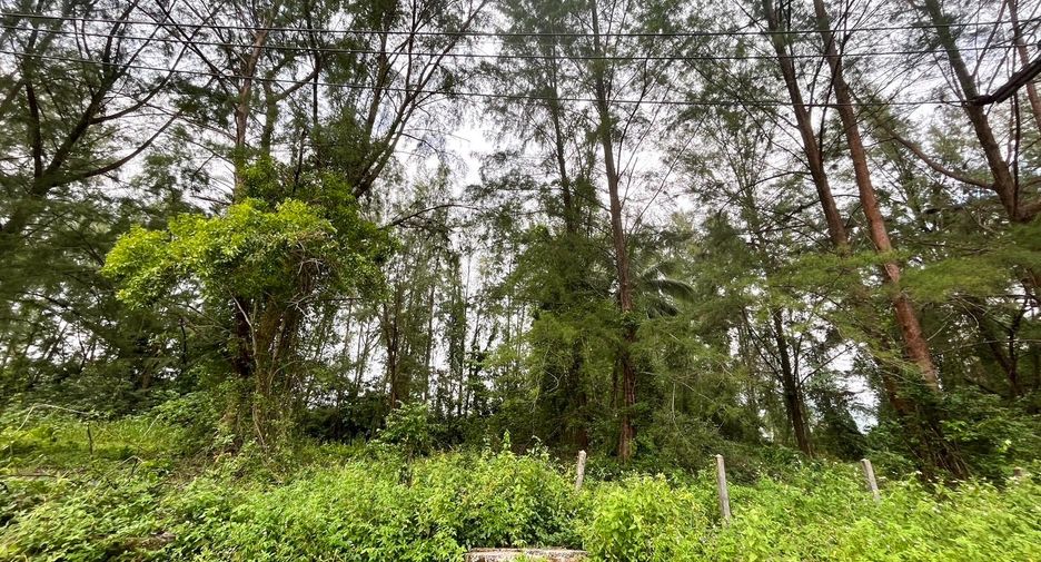 出售 土地 在 Takua Pa, Phangnga