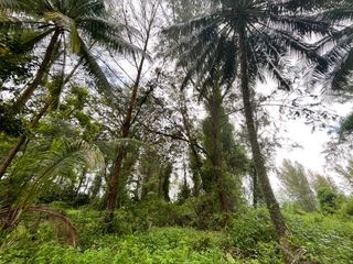 出售 土地 在 Takua Pa, Phangnga