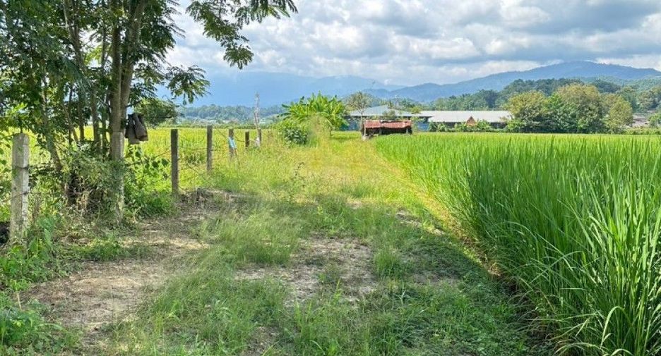 For sale land in Mae Ai, Chiang Mai