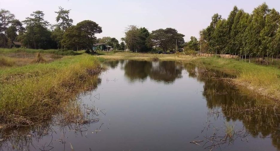 For sale land in Phak Hai, Phra Nakhon Si Ayutthaya