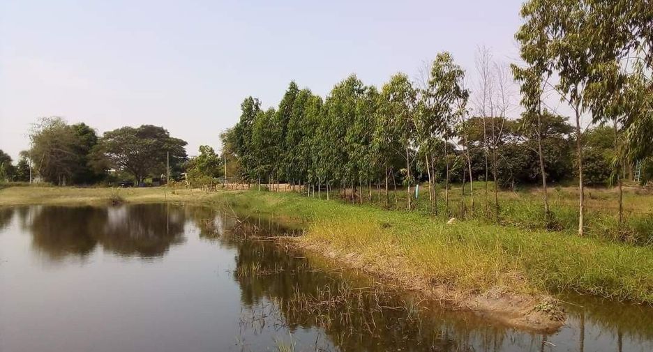 For sale land in Phak Hai, Phra Nakhon Si Ayutthaya