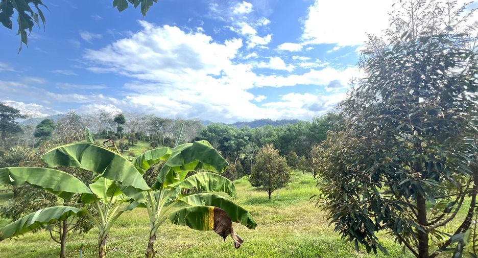 For sale 3 Beds house in Takua Pa, Phang Nga