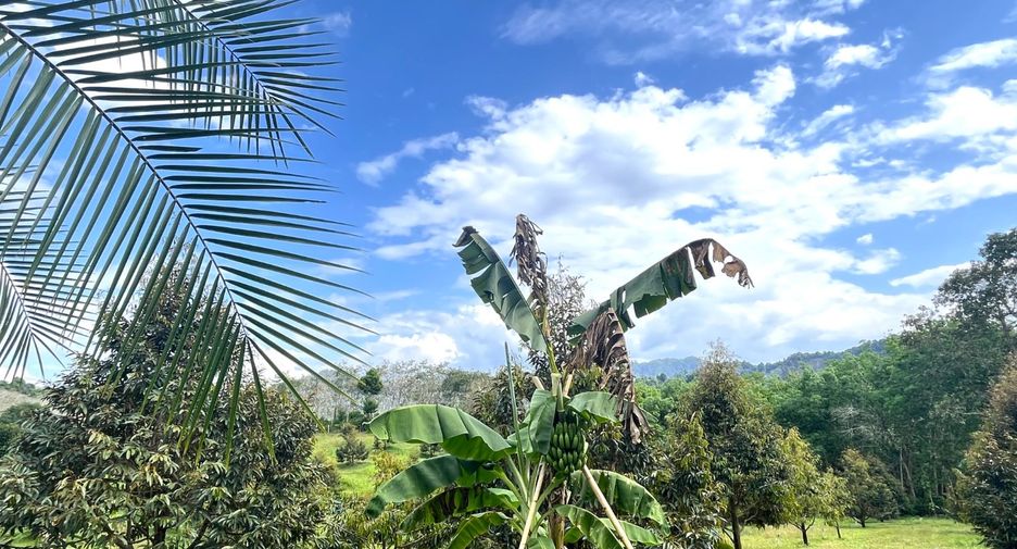 For sale 3 Beds house in Takua Pa, Phang Nga