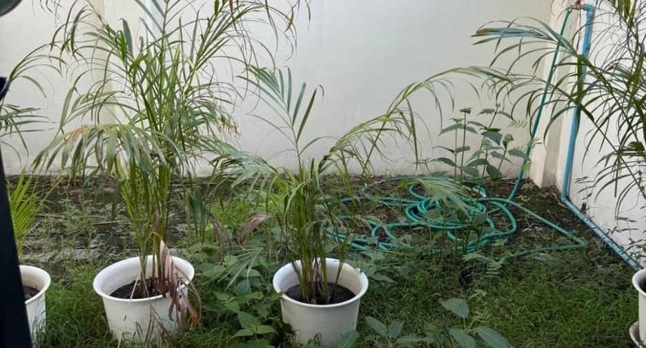 For sale 2 bedrooms retail Space in Mueang Chiang Mai, Chiang Mai