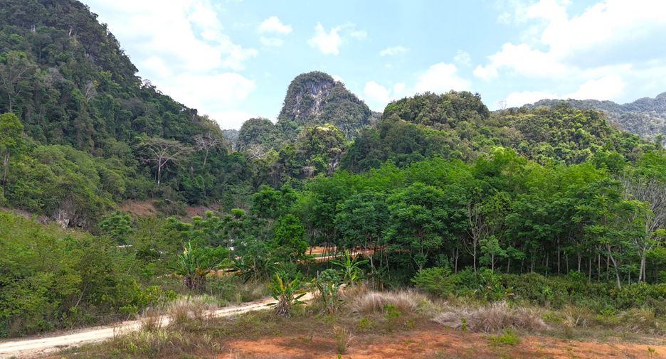 À vendre terrain à Mueang Krabi, Krabi
