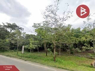 For sale land in Bo Rai, Trat