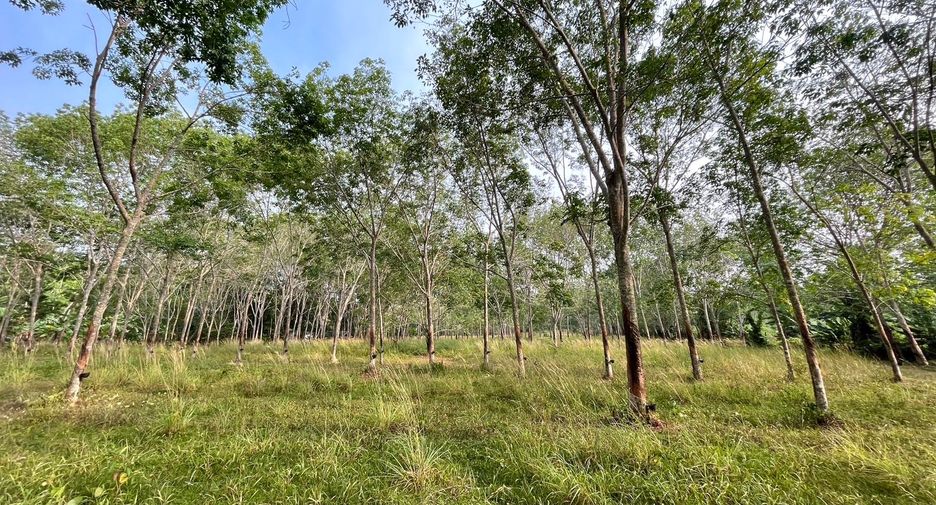 ขาย ที่ดิน ใน ตะกั่วทุ่ง, พังงา